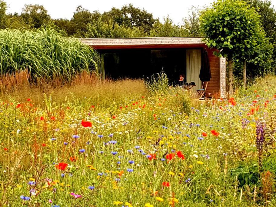 Sfeervol Chalet Midden In De Natuur Halle Exterior foto