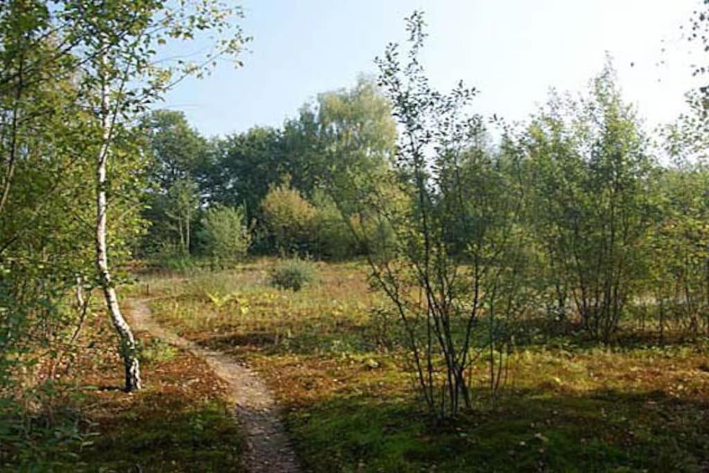 Sfeervol Chalet Midden In De Natuur Halle Exterior foto